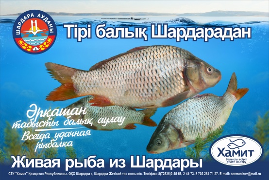 Живая рыба
