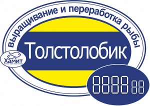 Толстолобик Толстолобик