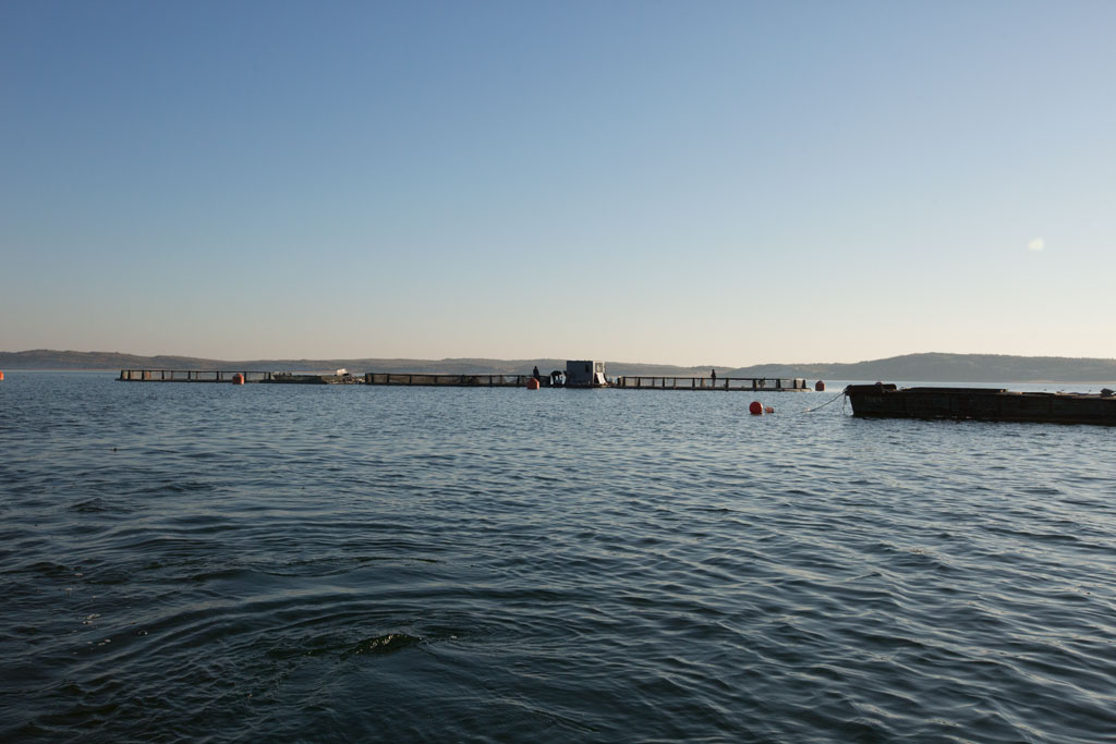 M01A6399.jpg