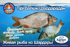 Живая рыба