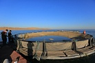 Аквакультура